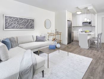 Open concept living room and kitchen with modern finishes